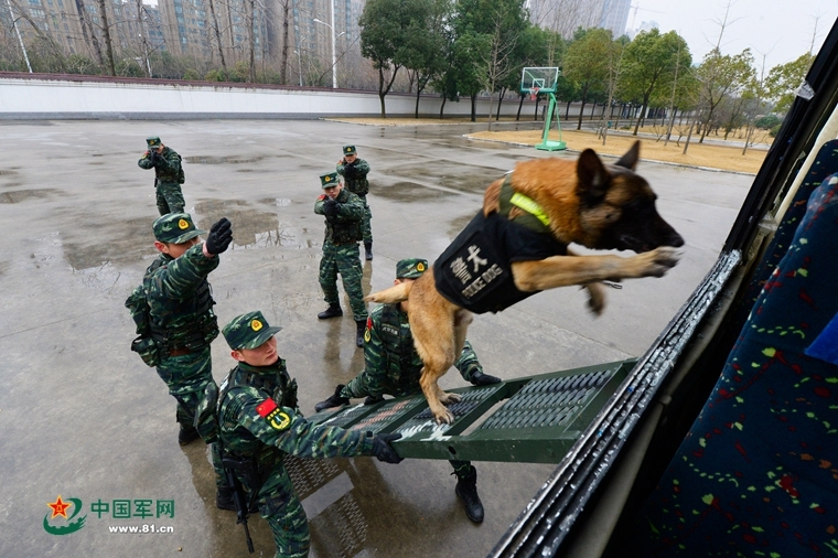 澳门准一肖一码一码,敏捷解释解答落实_2024款 1.5L 手动优享版 国VFXU3042